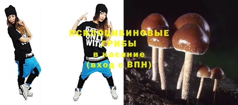 Псилоцибиновые грибы Magic Shrooms  где купить наркоту  hydra онион  Давлеканово 